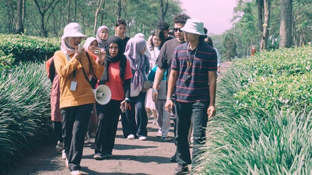 Menyeduh Bisnis Wisata Dari Pucuk Teh Wonosari