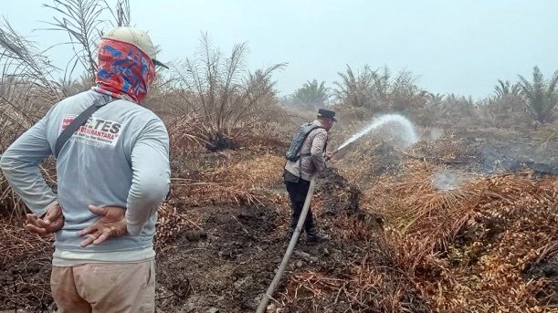 Karhutla Lahap Lima Hektare Kebun Sawit di Mesuji