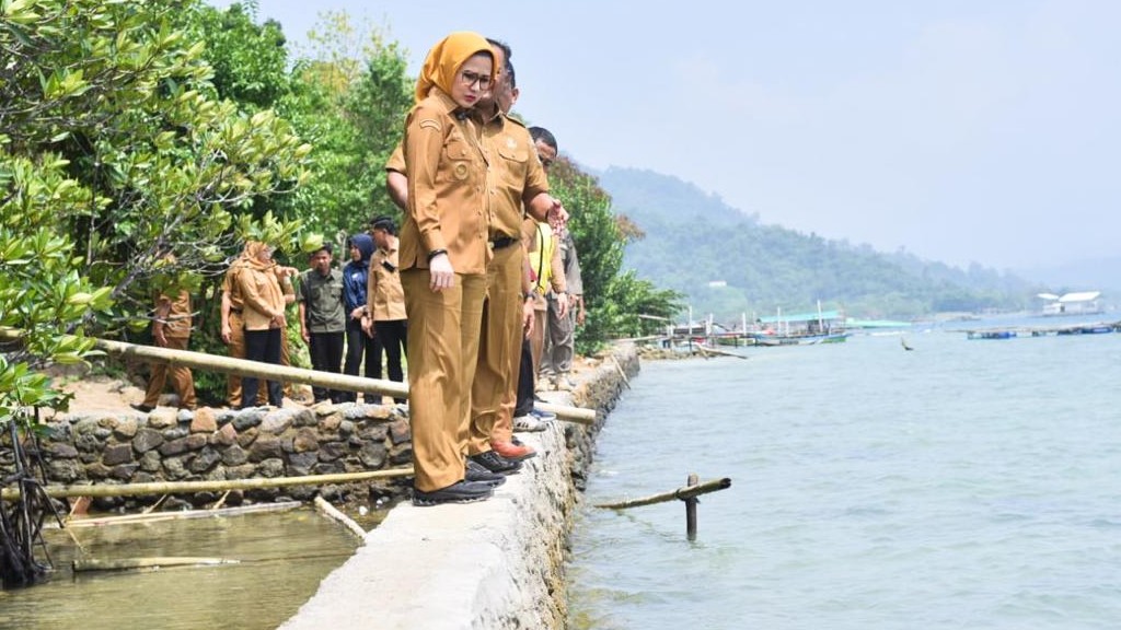 Ini Upaya Pemkab Pesawaran Cegah Abrasi