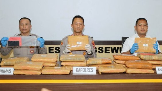 Bawa 24 Kg Ganja, Pria Asal Sumut Dibekuk Polres Pringsewu