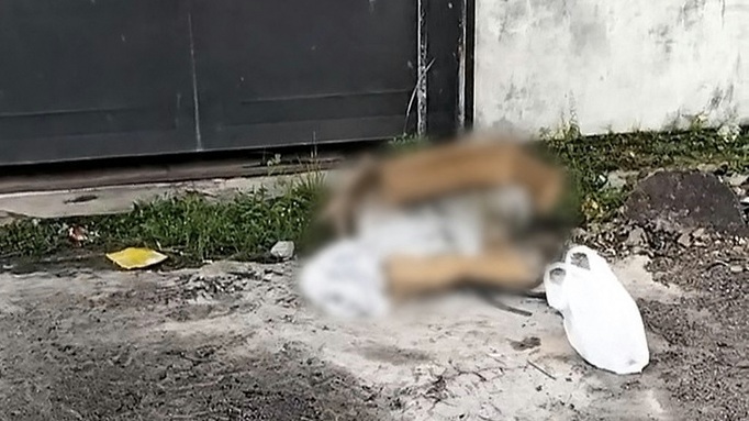 Pilu Surat di Balik Kain Kafan: Jeritan Orang Tua Tak Mampu di Lampung Selatan