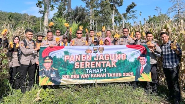 Polres Waykanan Panen Jagung Empat Hektare