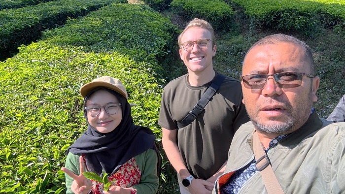 Rancabali Jadi Etalase Teh Indonesia di Mata Dunia