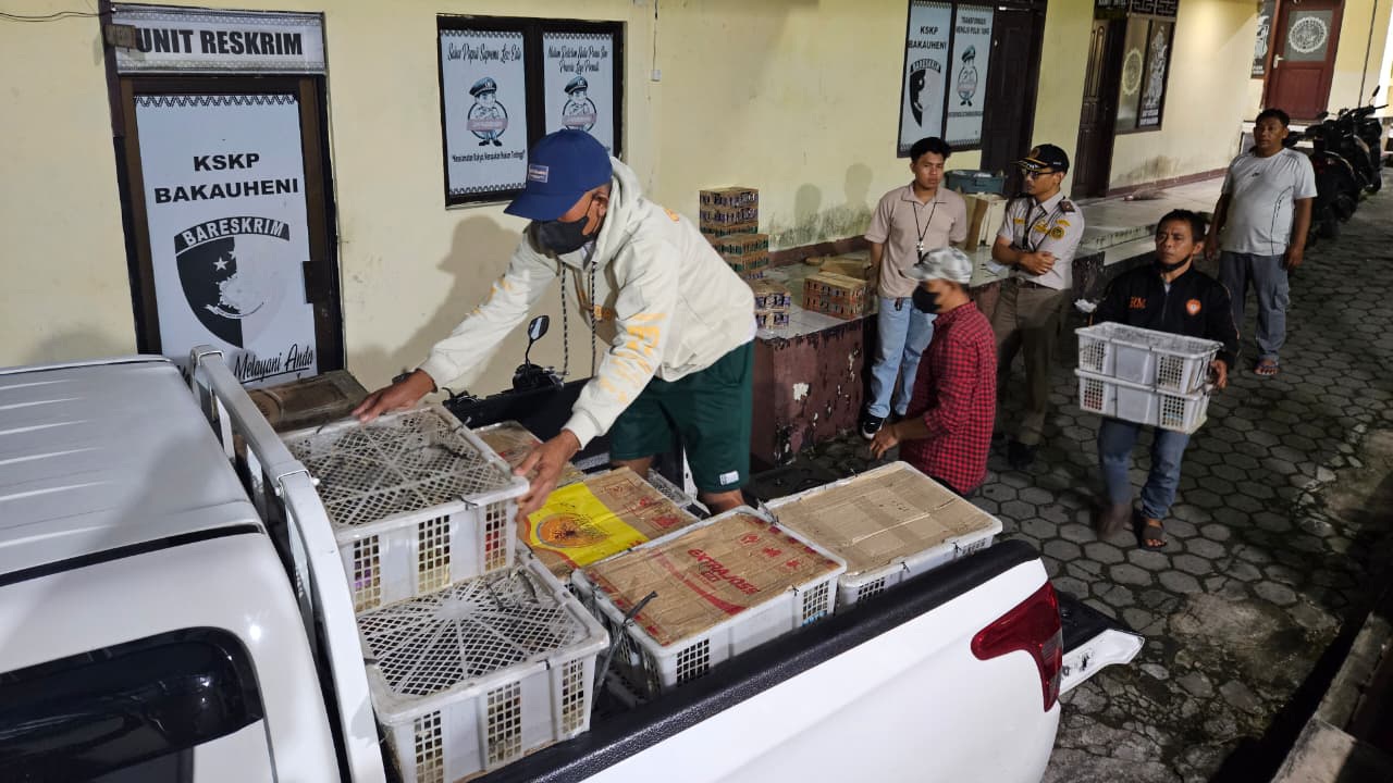 Terancam Denda Rp2 Miliar, Sopir Bus Nekat Sembunyikan 620 Burung Ilegal di Bakauheni