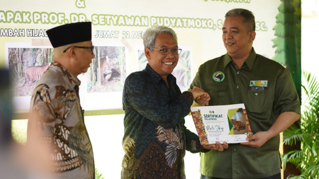 Anak Harimau di Lembah Hijau Dinamakan 'Puspa' dan 'Muli Sikep'