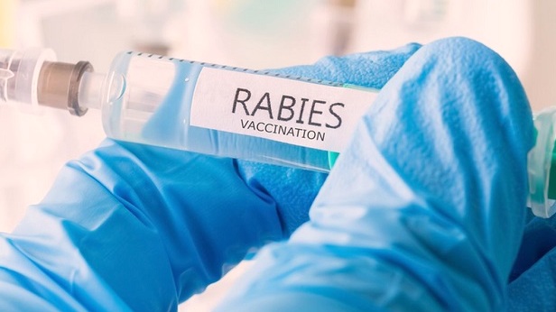 DPRD Bandarlampung Dukung Peningkatan Anggaran Pengadaan Vaksin Rabies