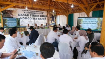 Genjot Produktivitas Karet, PTPN I Samakan Standar Teknis